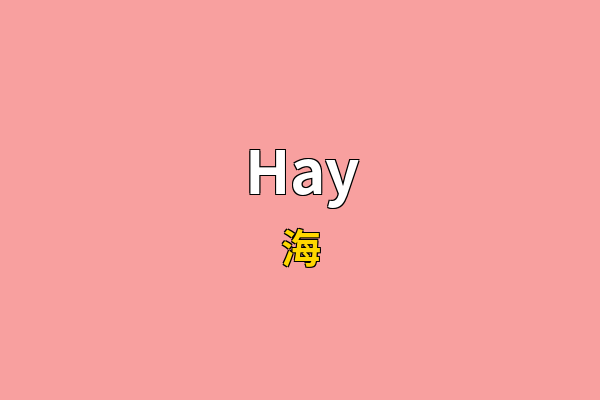 Hay英文名