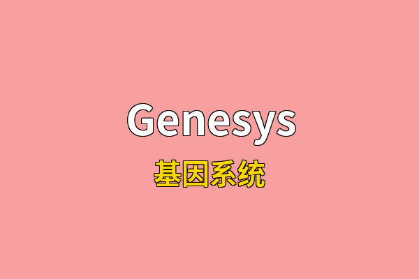 Genesys英文名