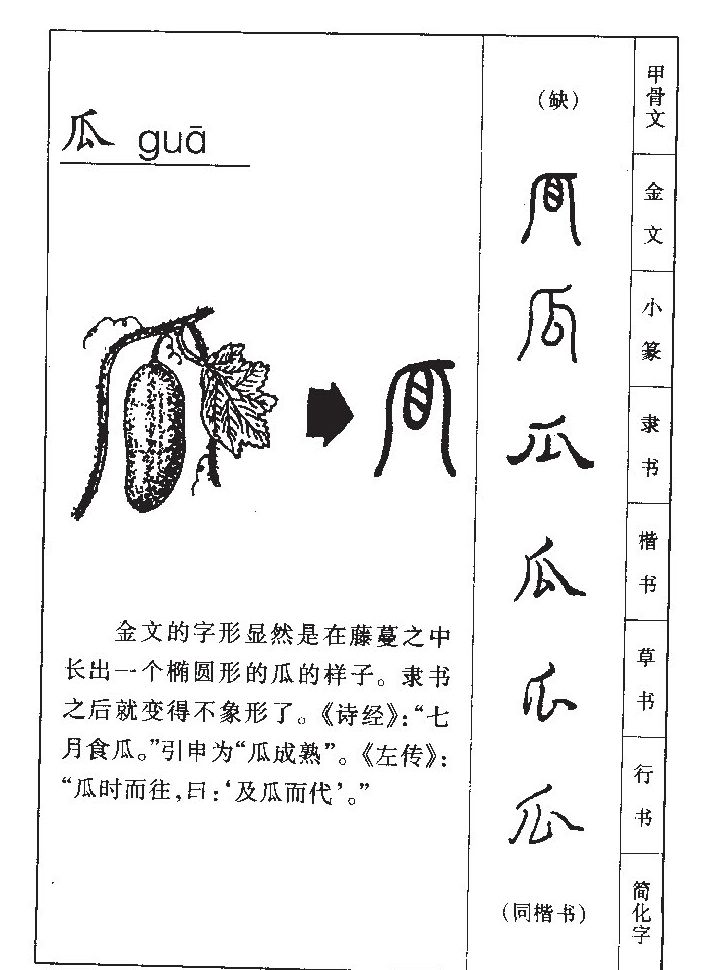 瓜