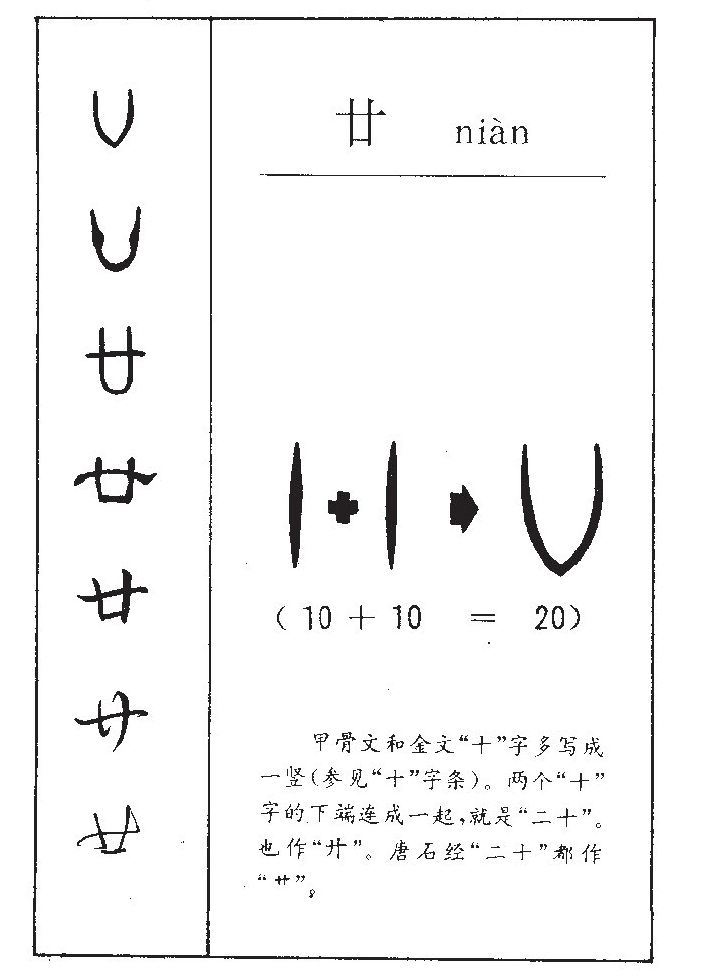 廿